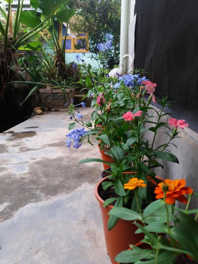 Mazz Homestay Νεγκόμπο Εξωτερικό φωτογραφία