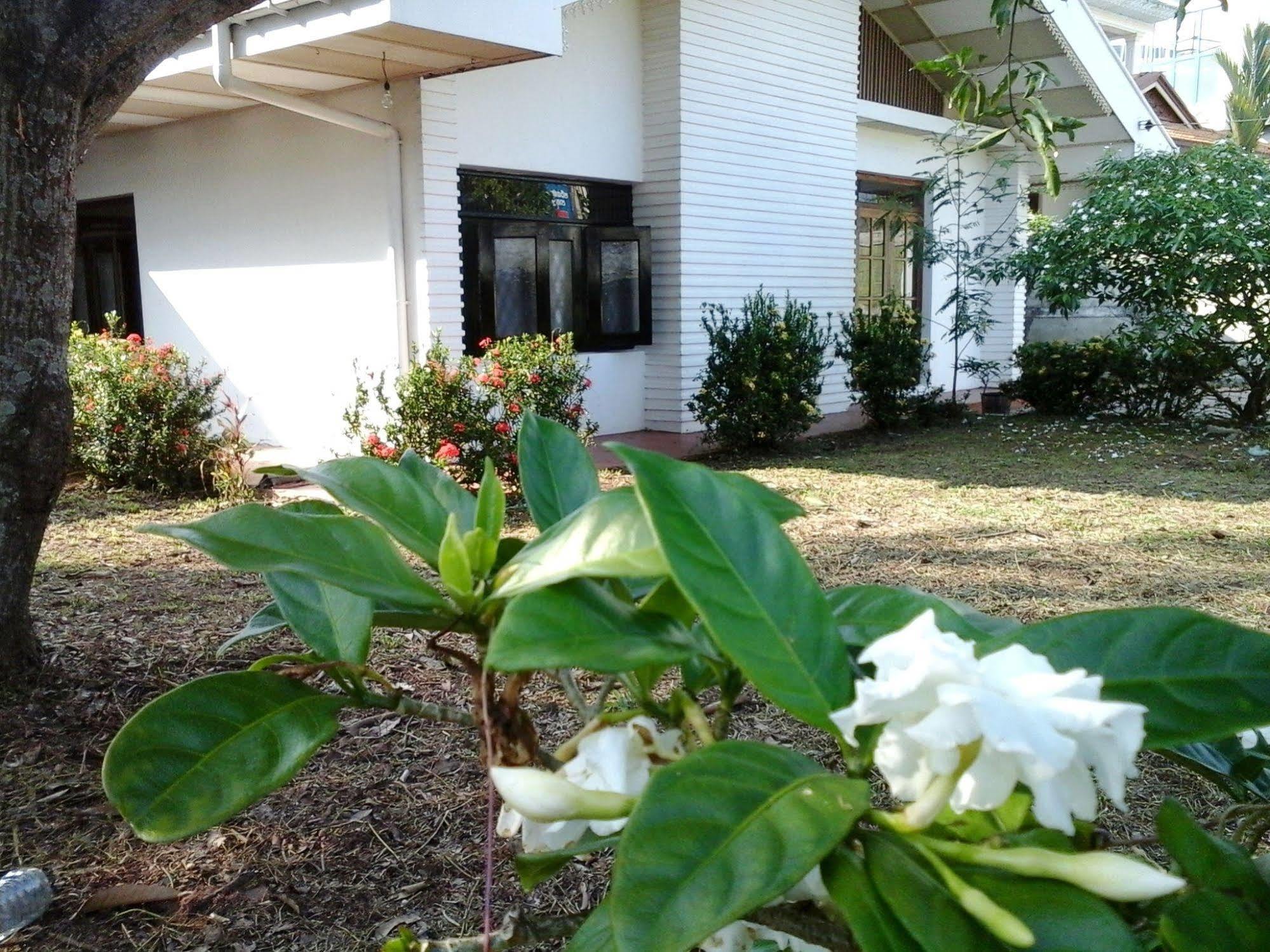Mazz Homestay Νεγκόμπο Εξωτερικό φωτογραφία